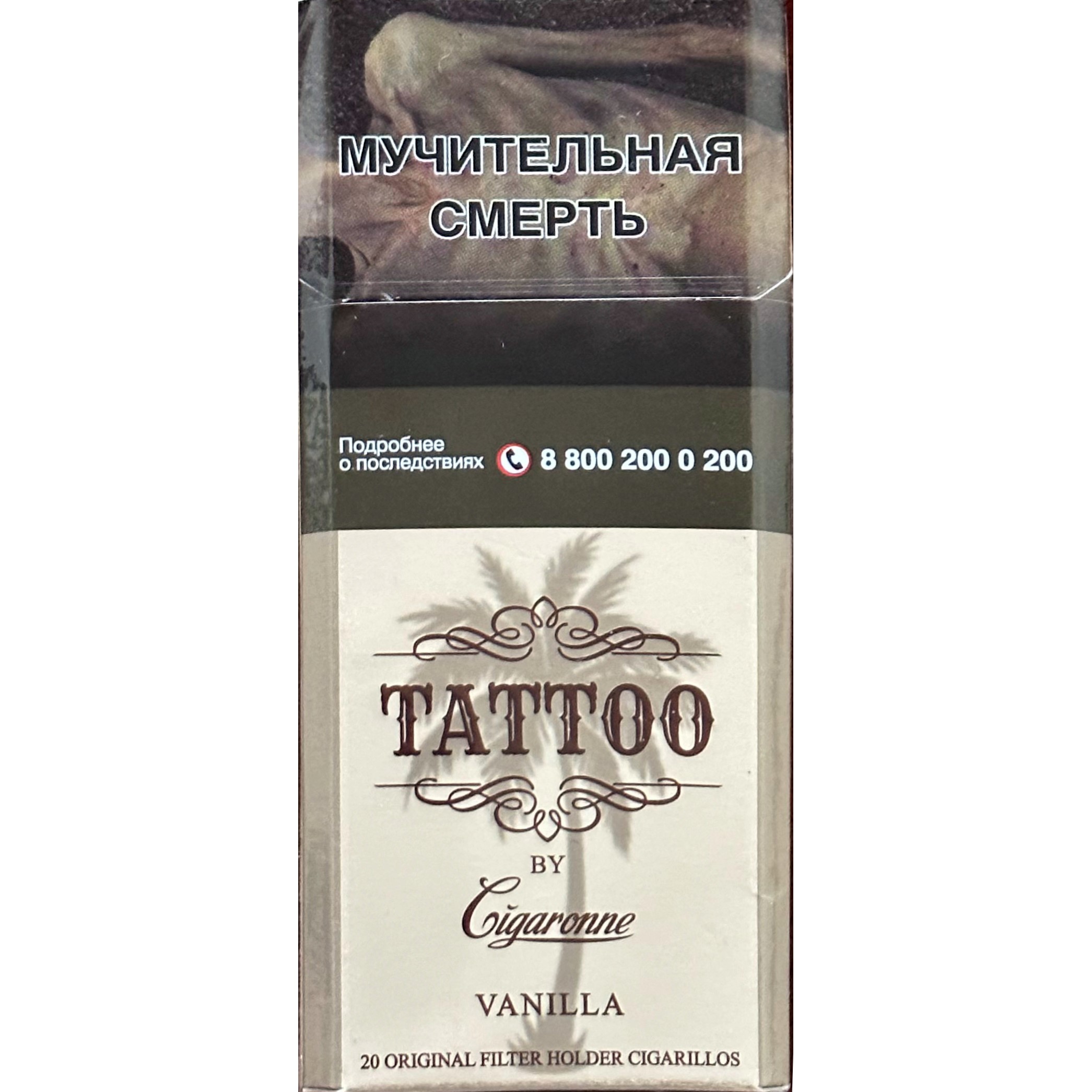 Tattoo Vanilla SSL2 (1)